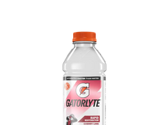 Gatorlyte